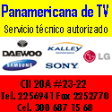 Panamericana de T.V.